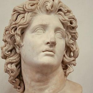 Meet your Posher, Josh